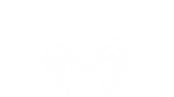 RIDE OR COLLIDE